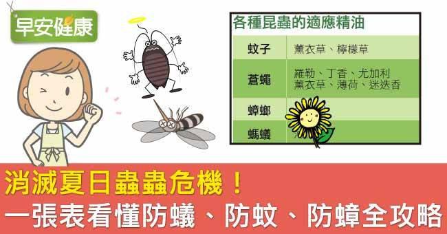 消滅夏日蟲蟲危機！一張表看懂防蟻、防蚊、防蟑全攻略