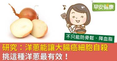 研究：洋蔥能讓大腸癌細胞自殺，挑這種洋蔥最有效！