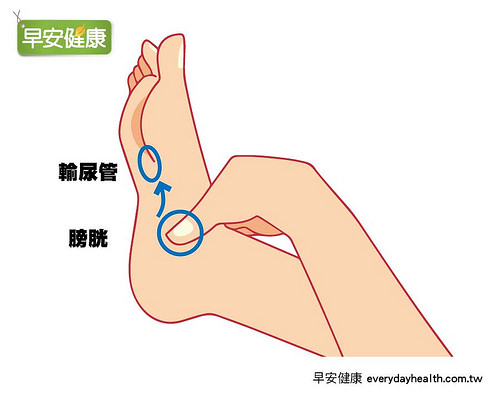 腳底膀胱反射區