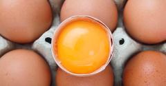 雞蛋都一樣？英研究：放養雞蛋含有更多維生素D3