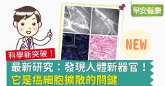 最新研究：發現人體新器官！它是癌細胞擴散的關鍵
