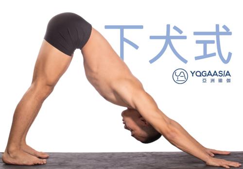 瑜伽,伸展