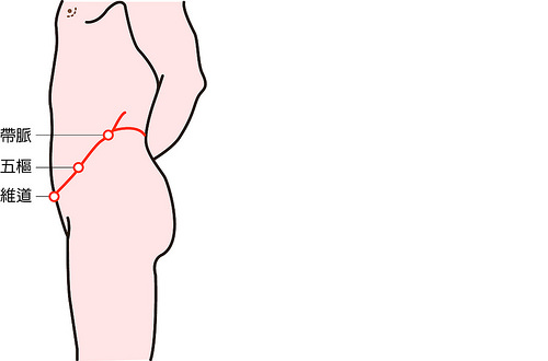 帶脈及其三穴示意圖