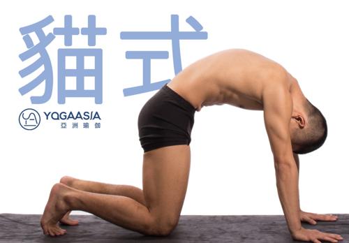 瑜伽,伸展