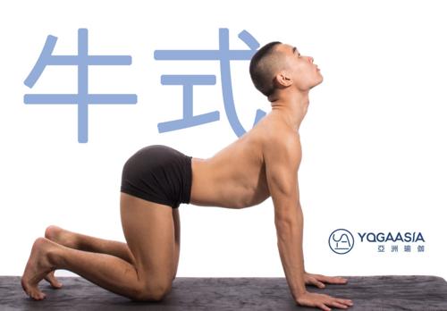瑜伽,伸展