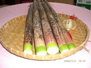 桂竹筍