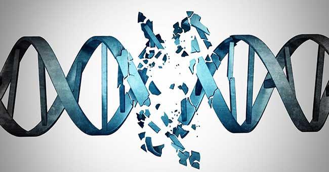 醛類化合物可能阻礙DNA修復機制，增加癌症發生風險