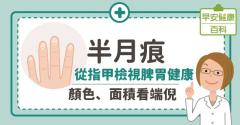 半月痕：從指甲檢視脾胃健康，顏色、面積看端倪