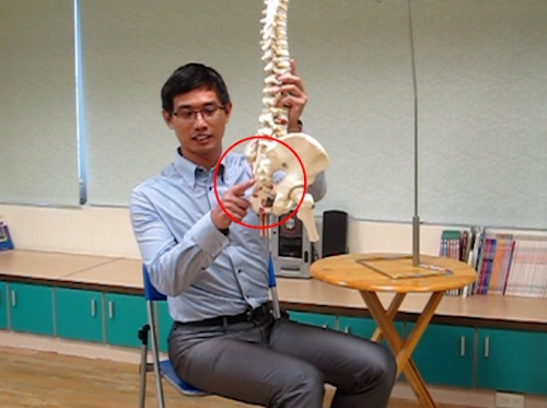 脊椎最尾端的硬骨是「間椎」，台灣話叫做「尾骶骨」就在這個地方