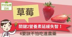 草莓：關鍵2營養素延緩失智！4要訣不怕吃進農藥