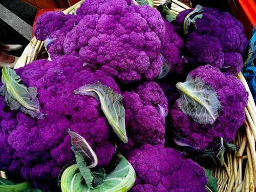紫色花椰菜含有滿滿的花青素