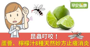 昆蟲叮咬！蘆薈、檸檬汁8種天然妙方止癢消炎