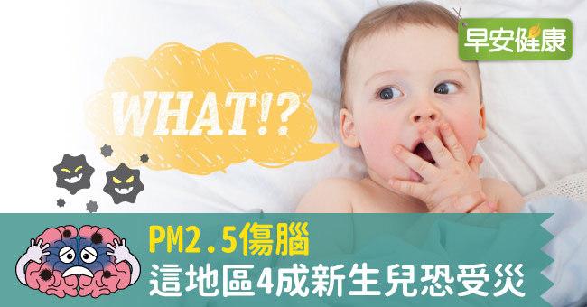 PM2.5傷腦，這地區4成新生兒恐受災