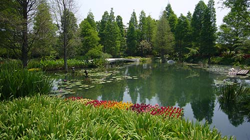 田尾公路花園
