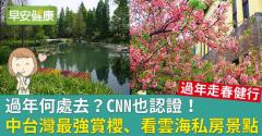 過年何處去？CNN也認證！中台灣最強賞櫻、看雲海私房景點