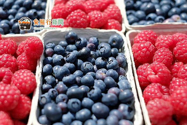 花青素是一種植物來源的多酚類，莓果類是花青素的食物來源之一