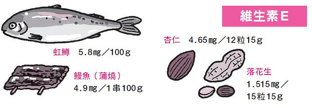 維生素E富含在魚類及堅果類等食品中