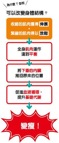 躺著就能瘦小腹的原理