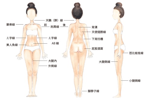 減肥,肌肉,小腹,腹橫肌