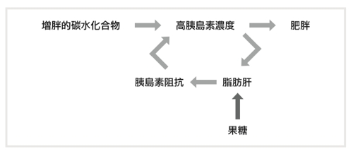 果糖,脂肪肝