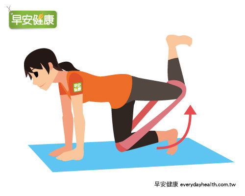 髖關節伸展：跪姿抬腿