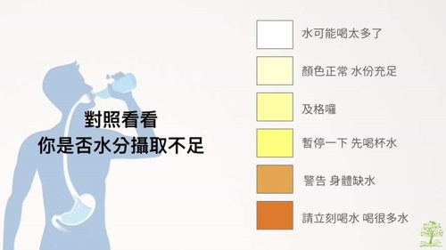 結石,草酸鈣