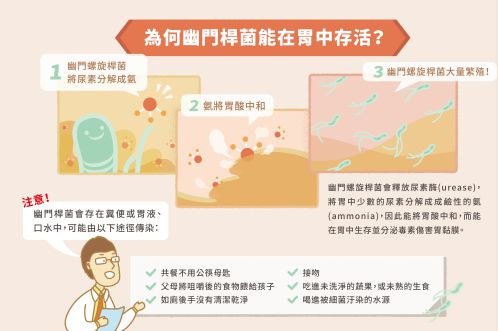為何幽門桿菌能在胃中存活？