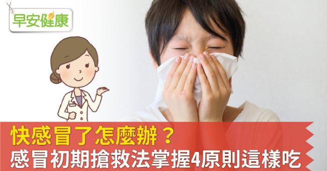 快感冒了怎麼辦？感冒初期搶救法掌握4原則這樣吃