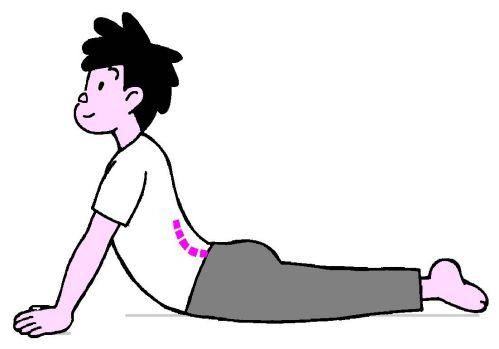 改善腰痛的趴臥運動