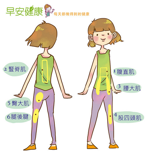 豎脊肌位置