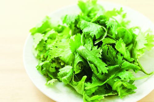 香菜