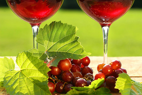 白藜蘆醇存在於紅酒以及葡萄、覆盆莓、花生等植物中