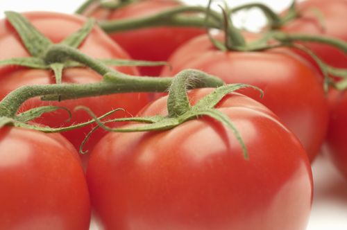 番茄中的茄紅素，能夠緩和人體內的氧化，是醫師認為的健康食物