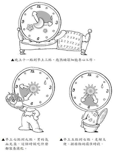 晚上十一點到早上三點,應熟睡讓細胞專心工作
