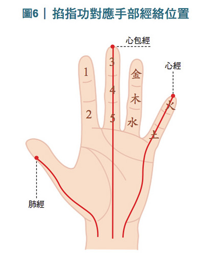 掐指功的手指與身體部位對應