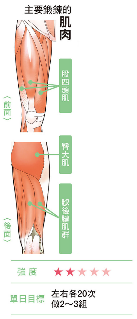 分腿蹲有助鍛鍊股四頭肌、臀大肌等肌肉，提高代謝瘦全身。