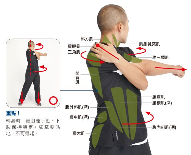 拉筋伸展操➊ 轉腰側伸