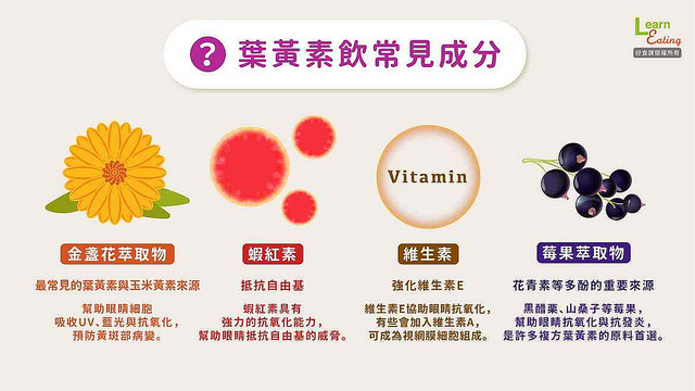 葉黃素飲常見成分最主要為金盞花萃取物與莓果萃取物