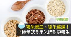 糯米養血、糙米整腸！4種常吃食用米吃對更養生