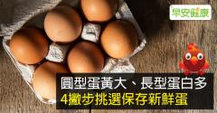 圓型蛋黃大、長型蛋白多，4撇步挑選保存新鮮蛋