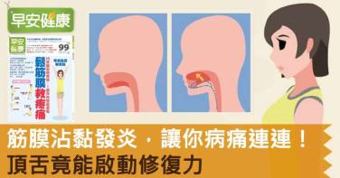 筋膜沾黏發炎，讓你病痛連連！頂舌竟能啟動修復力
