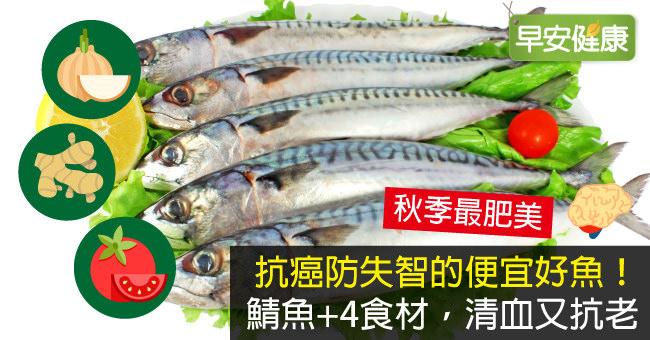 抗癌防失智的便宜好魚！鯖魚+4食材，清血又抗老