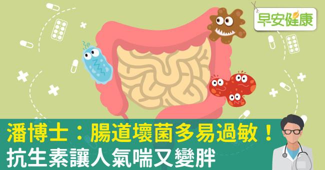 潘博士：腸道壞菌多易過敏！抗生素讓人氣喘又變胖