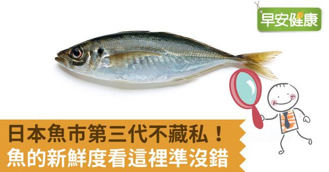 日本魚市第三代不藏私！魚的新鮮度看這裡準沒錯
