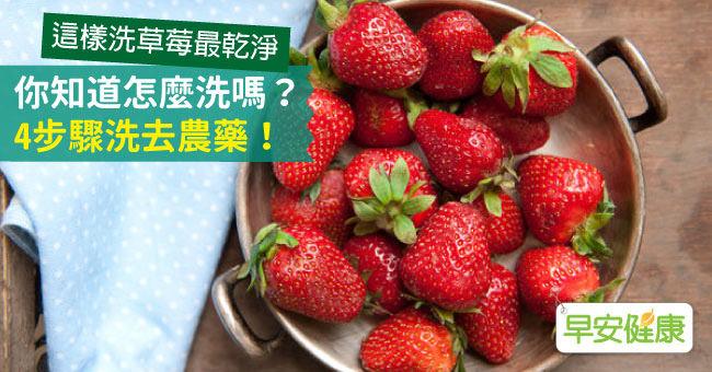【這樣洗草莓最乾淨】你知道怎麼洗嗎？4步驟洗去農藥！