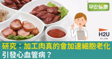 研究：加工肉真的會加速細胞老化、引發心血管病？