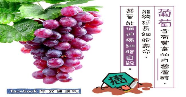 葡萄含有豐富的白藜蘆醇~能延長細胞壽命