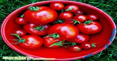 番茄紅素能降低腦中風的風險