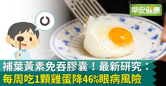 補葉黃素免吞膠囊！最新研究：每周吃1顆雞蛋降46％眼病風險