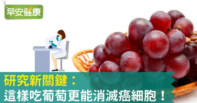 研究新關鍵：這樣吃葡萄更能消滅癌細胞！